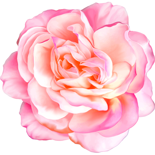 Autocollants Fleur Rose 1