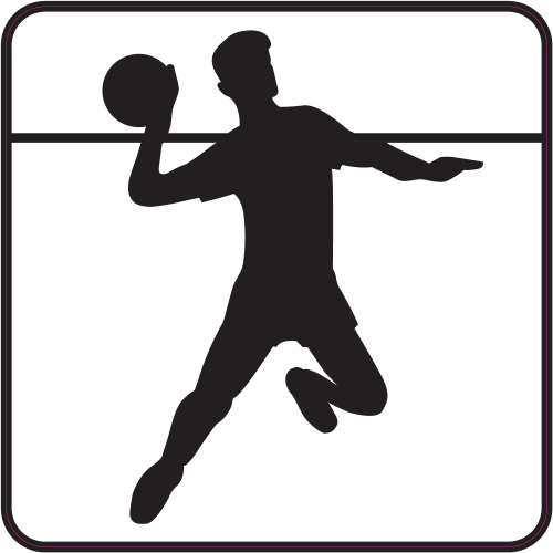 Autocollant Volley B