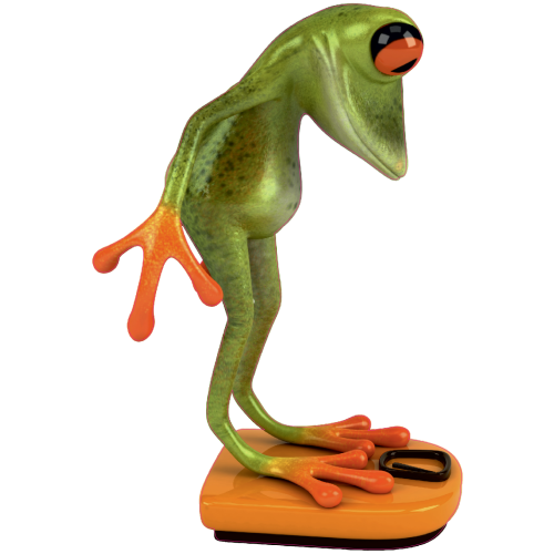 Autocollant Grenouille