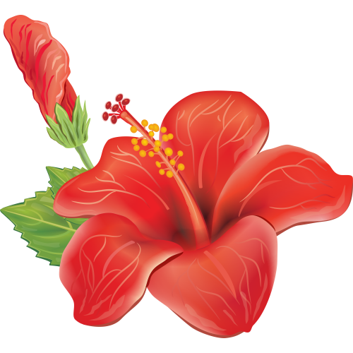 Autocollants Fleur Tropical 1