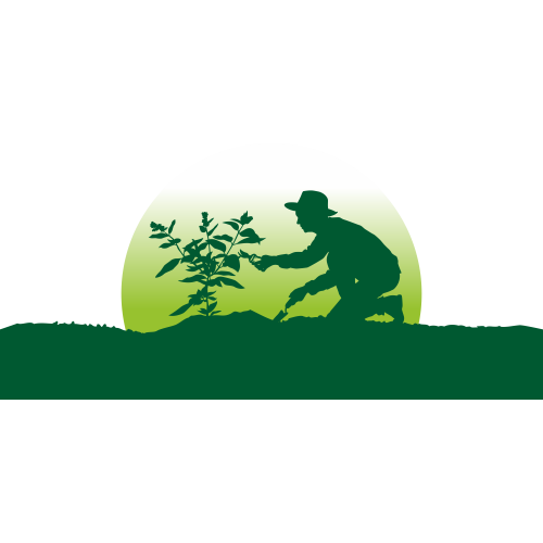 Autocollant Logo Nature Jardinage 5