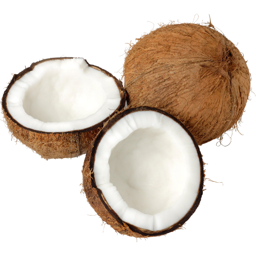 Autocollant Alimentation Fruit Noix De Coco 1