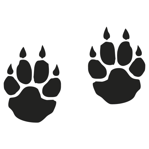 Sticker Empreinte D Ours