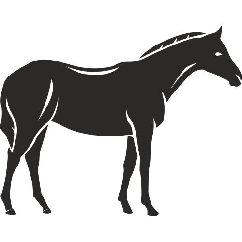 Sticker Ferme Cheval