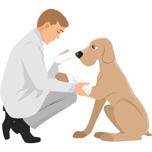 Autocollant Métier Santé Vétérinaire 2