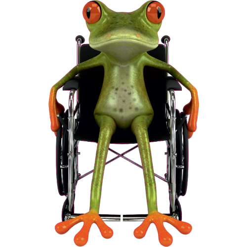 Autocollant Grenouille