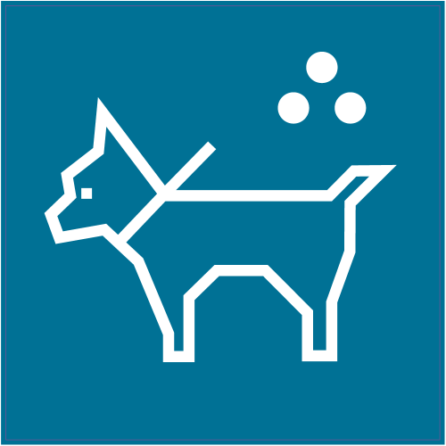 Autocollant Panneau Indication Chiens Autorisés