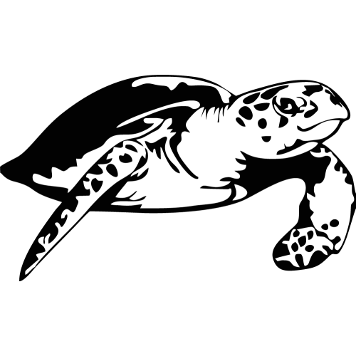 Sticker Tortue