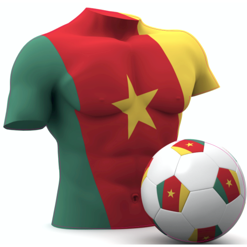 Autocollant Foot Cameroun