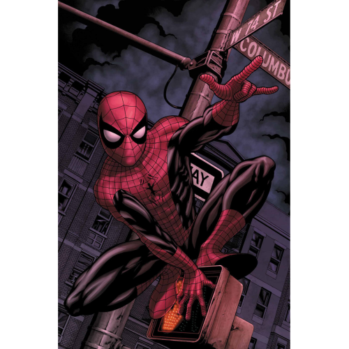 Sticker Spider Man V12