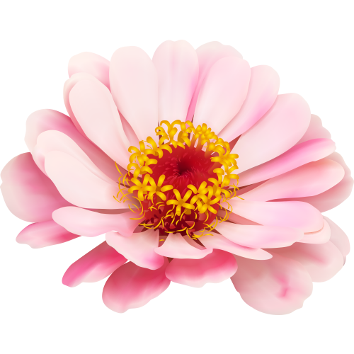 Autocollants Fleur Rose Pâle