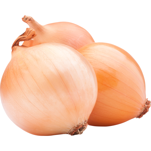 Autocollant Alimentation Echalotte Légume