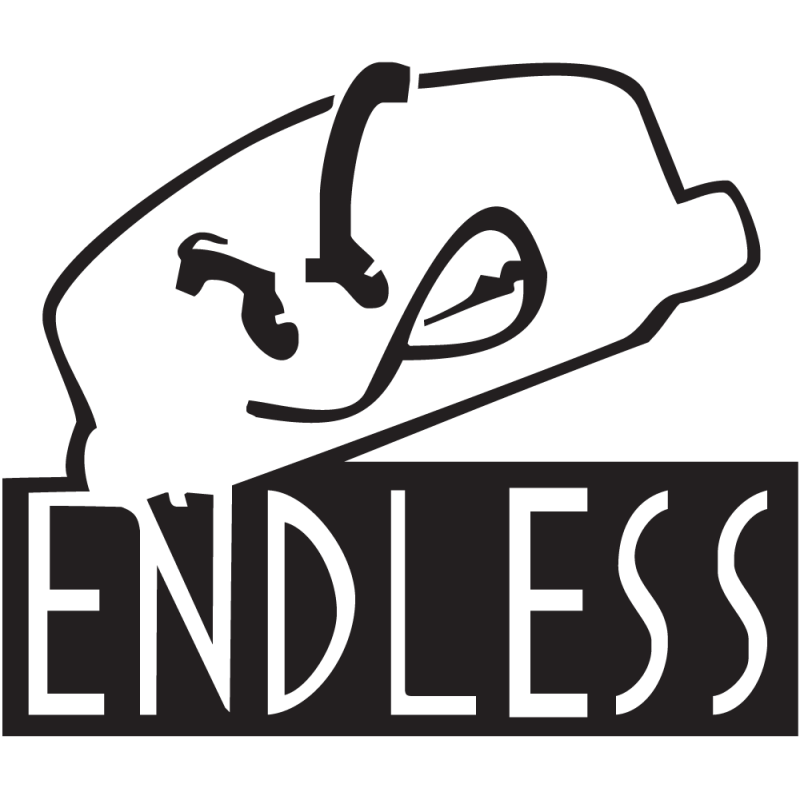 Sticker Jdm Endless