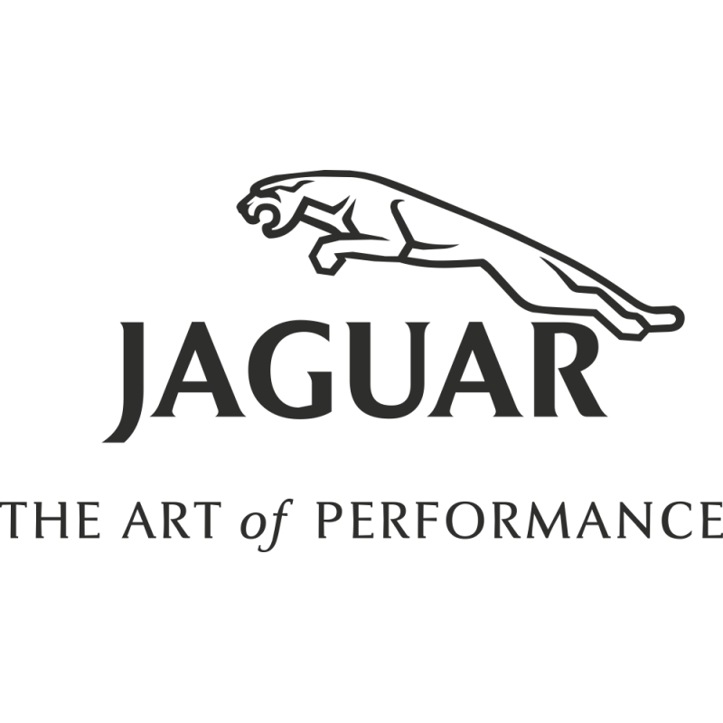 Sticker Jaguar Art Of Performance