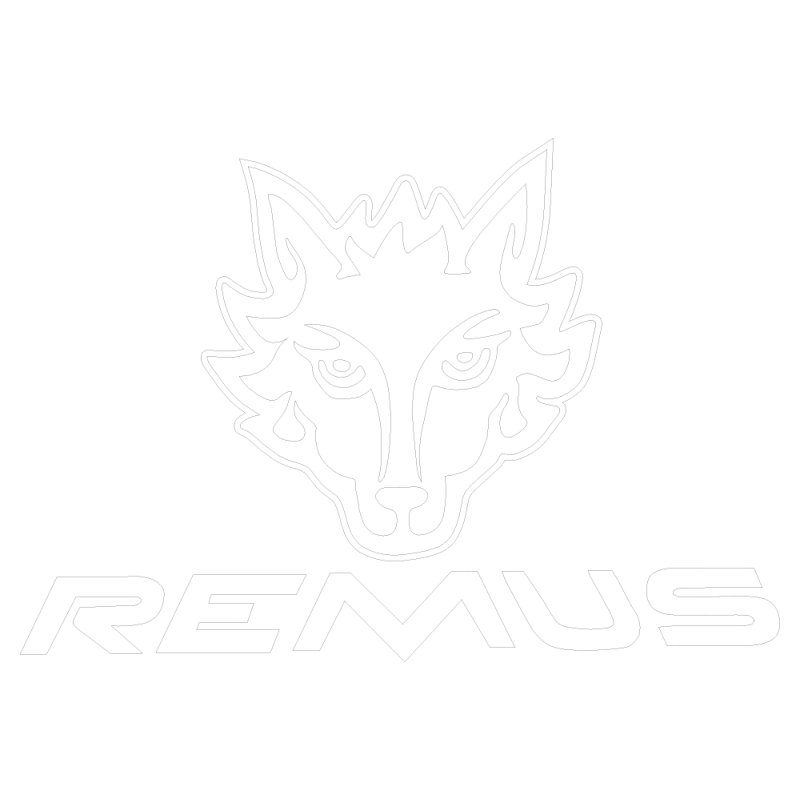 Sticker Remus