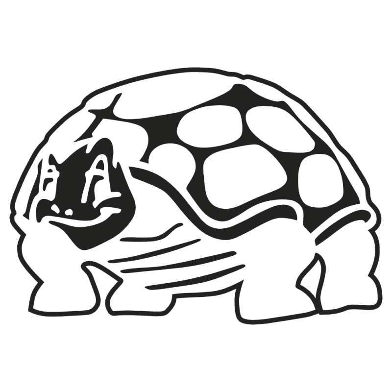 Sticker Tortue