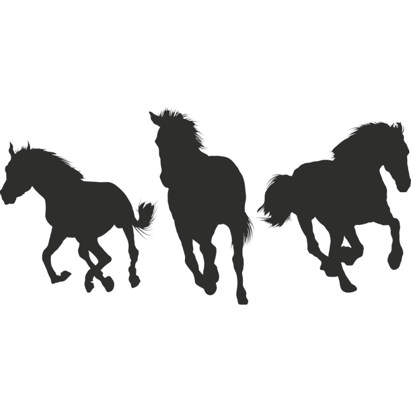 Sticker Chevaux