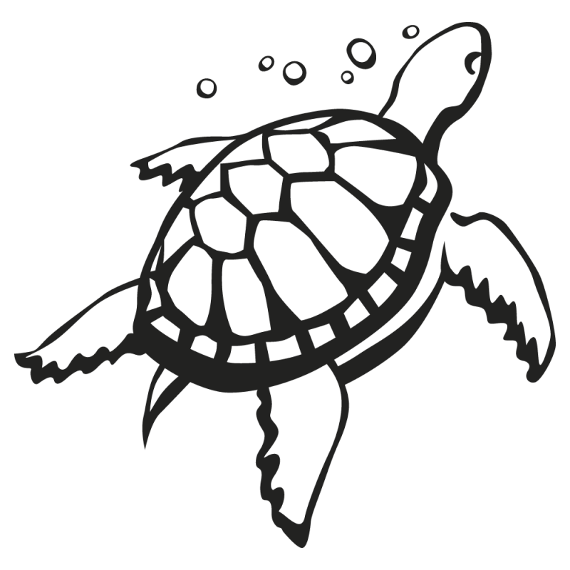 Sticker  Tortue