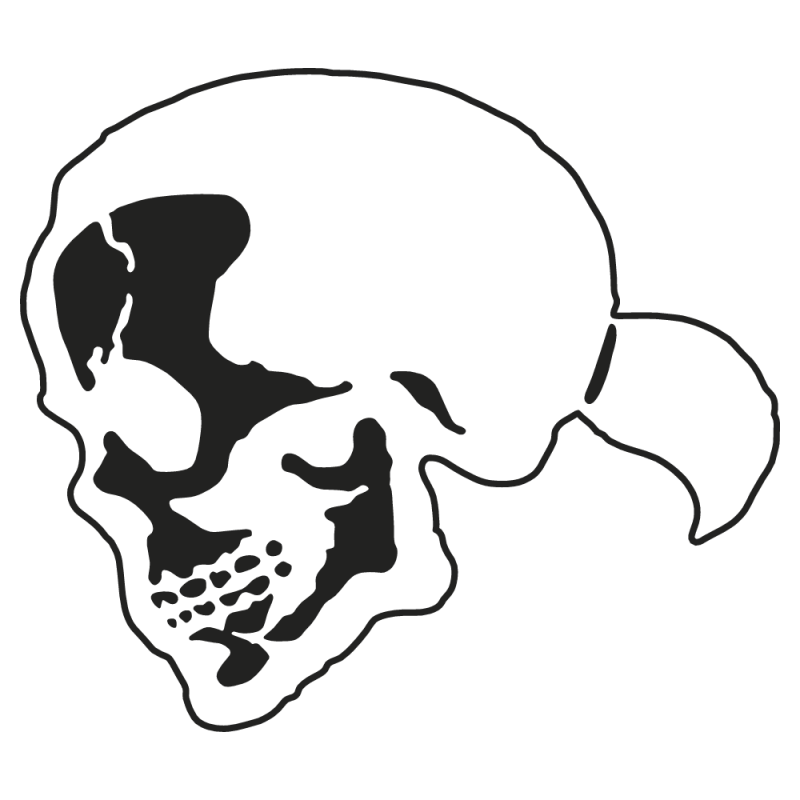 Sticker Voiture Tête De Mort Skull - ZoneStickers