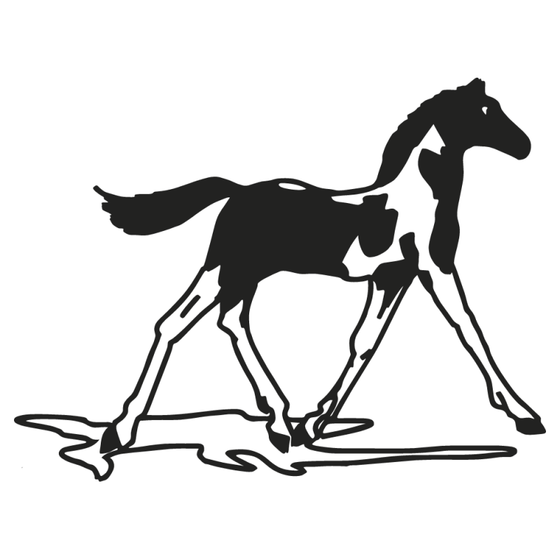 Sticker Chevaux